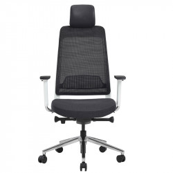 Fauteuil de bureau ergonomique