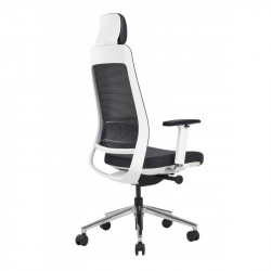 Fauteuil ergonomique mal de dos