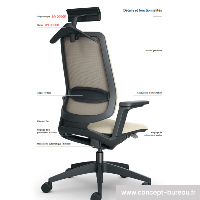 Fauteuil pour mal de dos FLEX