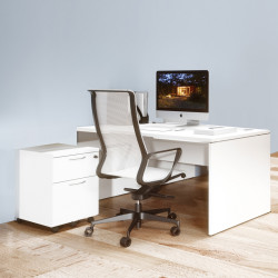 Bureau professionnel design