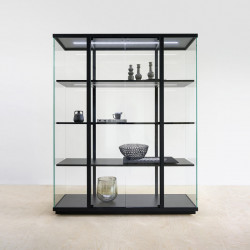 vitrine de collection 