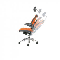 fauteuil ergonomique dos