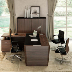 Bureau de direction luxe