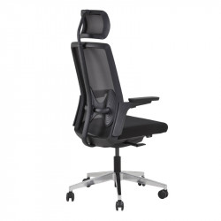 Fauteuil ergonomique pour mal de dos - SABINE