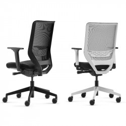 Siège ergonomique dos