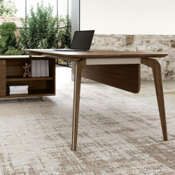 Bureau professionnel design