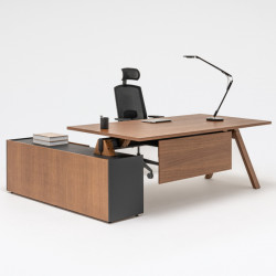 Bureau directeur moderne