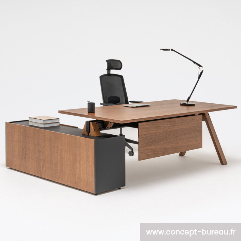 Bureau directeur moderne Bureau directeur moderne