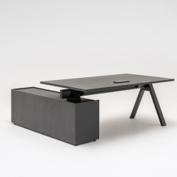 bureau de direction luxe et contemporain