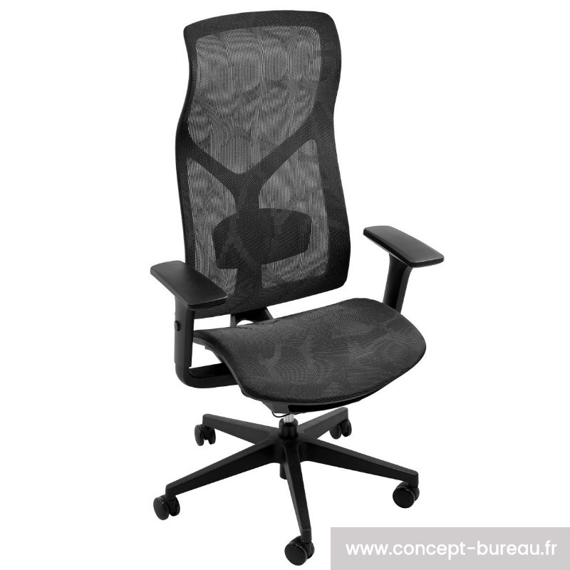 Fauteuil ergonomique mal de dos - DISATI