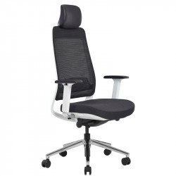 Fauteuil ergonomique pour bureau - ZETA