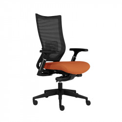 Fauteuil ergonomique mal de dos - DISATI