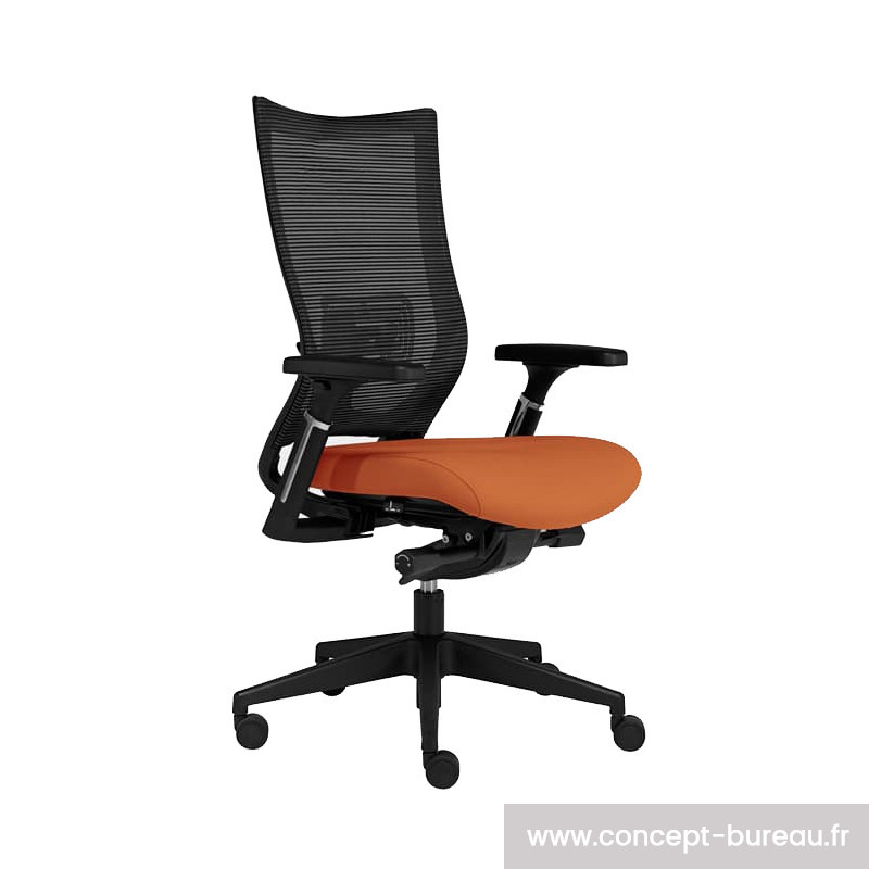 Siège de bureau ergonomique spécial mal de dos vert - RETIF