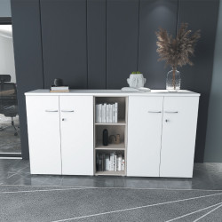 Armoire de rangement bureau professionnel