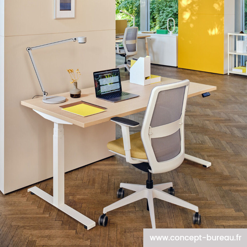 Chaise de bureau ergonomique – UP & DESK