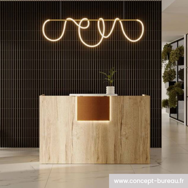 Bureau d'accueil design