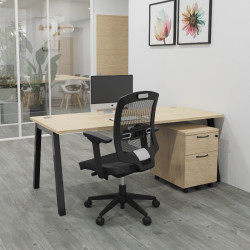 Bureau simple professionnel