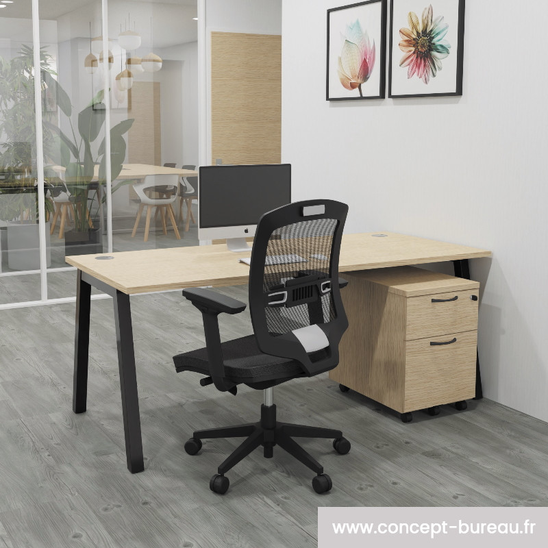 Bureau simple professionnel