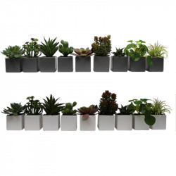 Lot de 9 plantes artificielles de bureau