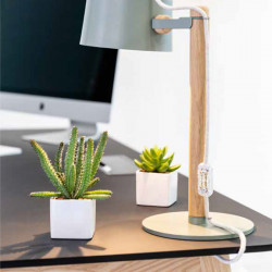 plantes artificielles pour bureau