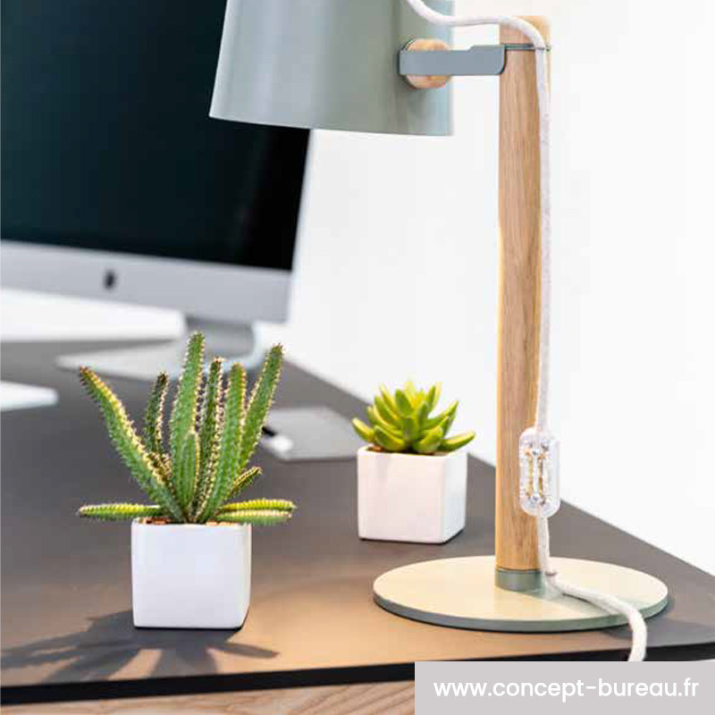 plantes artificielles pour bureau