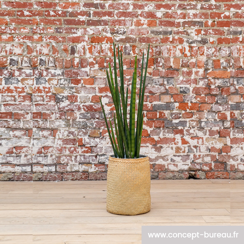 Plante artificielle bureau SANSEVIERIA