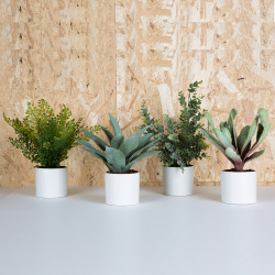 Lot de 4 Mini plantes artificielles