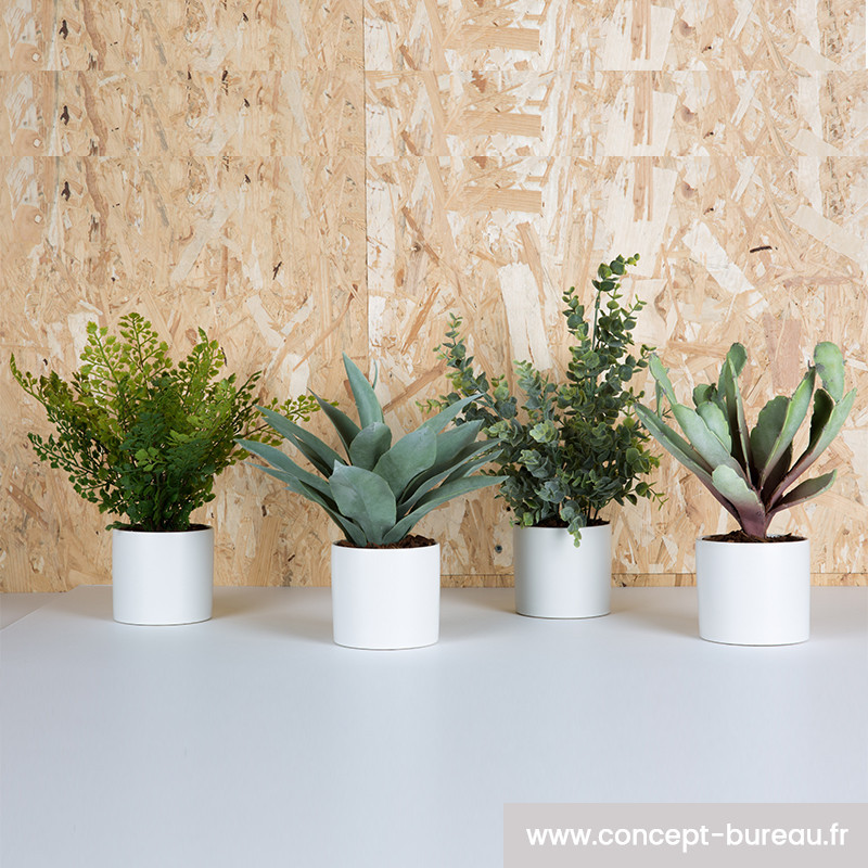 FEILANDUO Lot de 4 mini plantes artificielles en pot - Plante