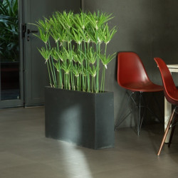 Accessoire de bureau design - bac floral - plante artificielle