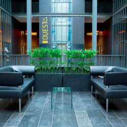 Plante artificielle intérieur bureau