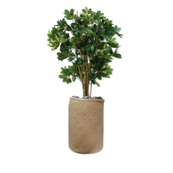 Schefflera artificiel bureau