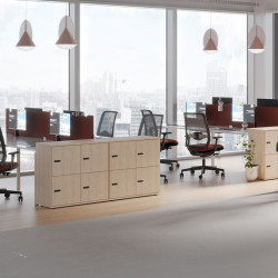 Casier individuel de bureau