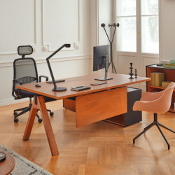 Bureau de direction moderne