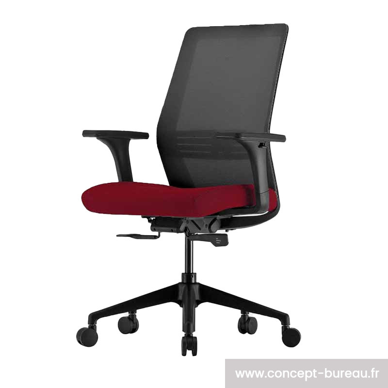 Fauteuil de bureau ergonomique mal de dos