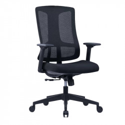 Fauteuil de bureau ergonomique