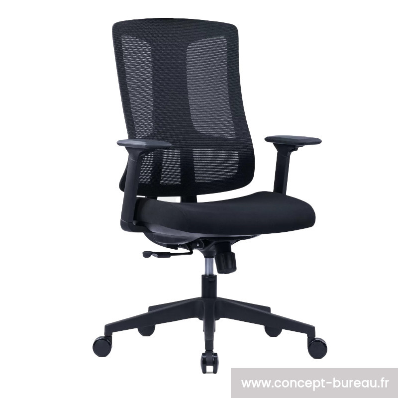 Fauteuil de bureau ergonomique