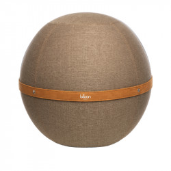 Ballon de bureau BLOON