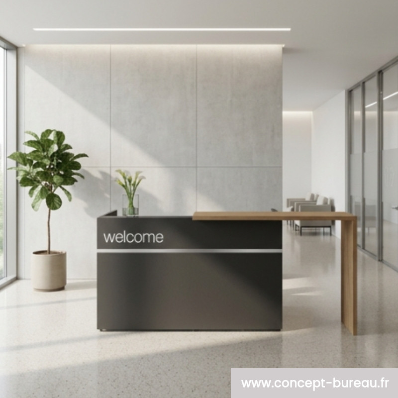 Banque d'accueil Axer design moderne