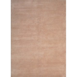 Tapis d'accueil coloris beige