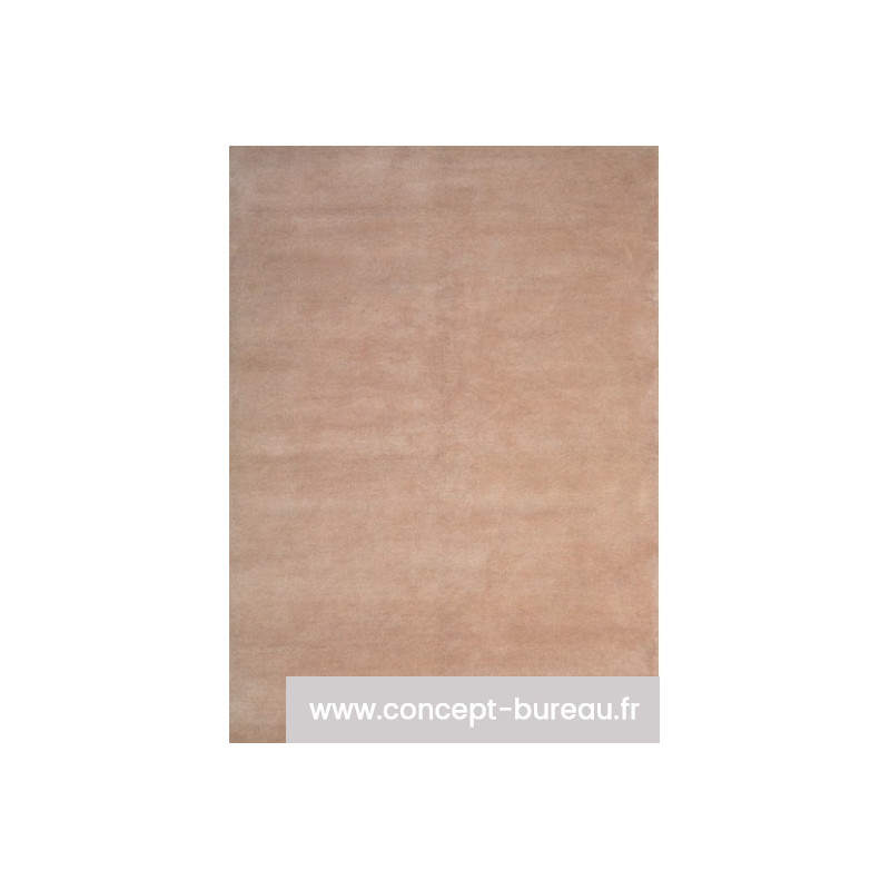 Tapis d'accueil coloris beige