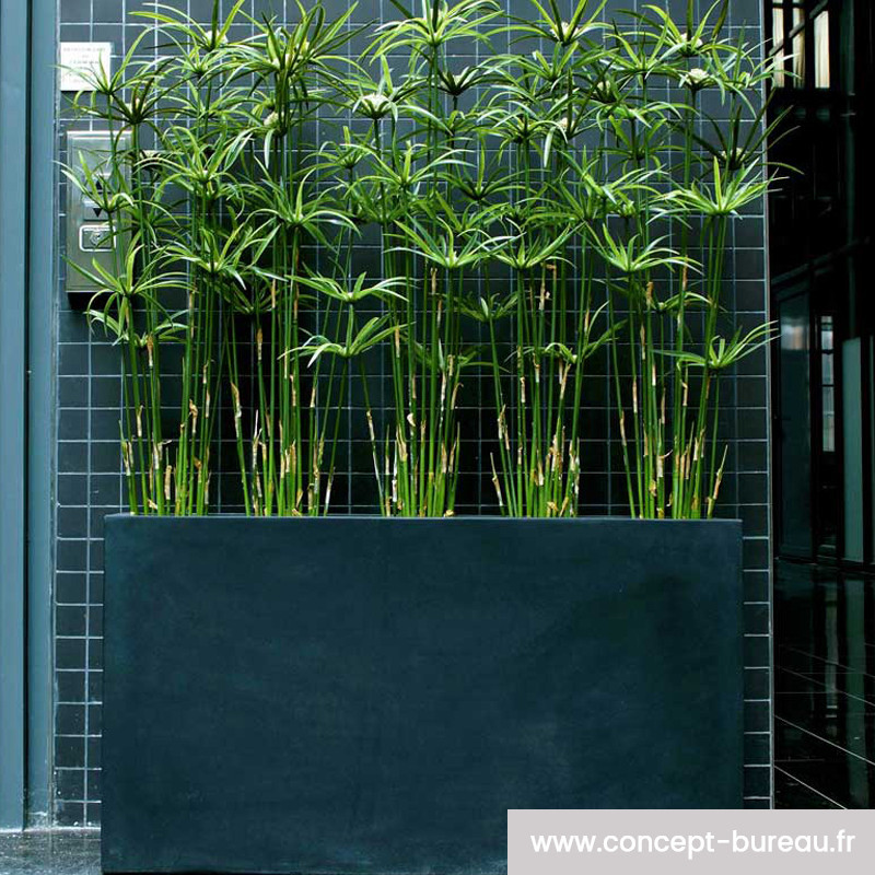 Plante artificielle d'intérieur Plante artificielle d'intérieur